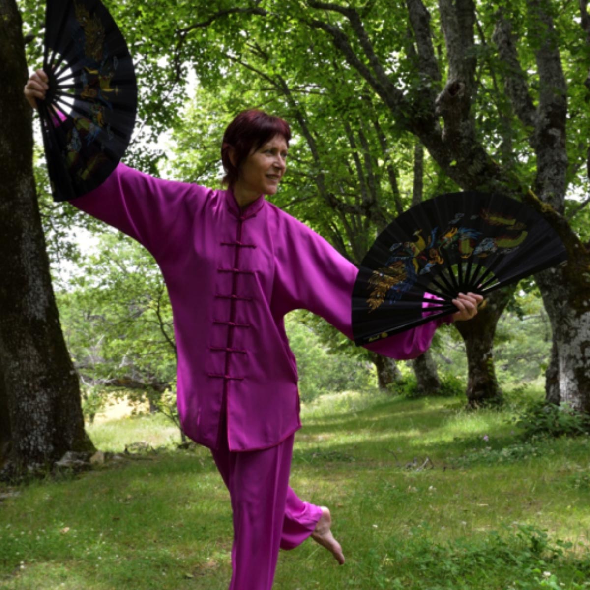 professeurs-diplomes-activites-auriol-ecla-Philippe Manlay-piano-Tai-chi-Qi-Qong