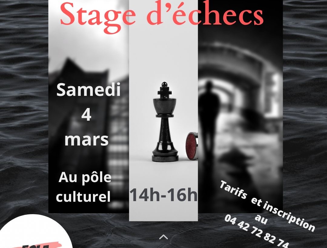 Stage échecs