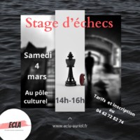 Stage échecs